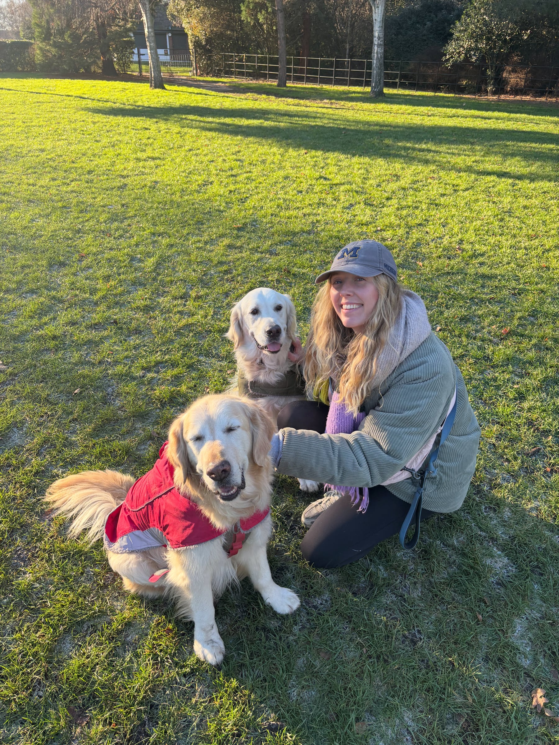 Golden retriever receiving pet care in Winchester from Chloe's BestPets